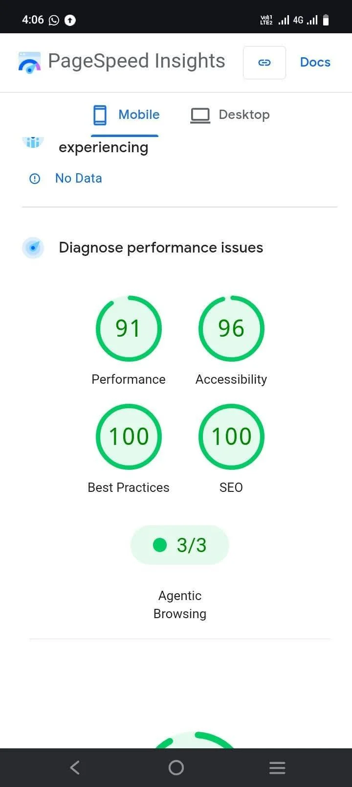 PageSpeed Insights Mobile Score showing 91 Performance, 96 Accessibility, 100 Best Practices, 100 SEO